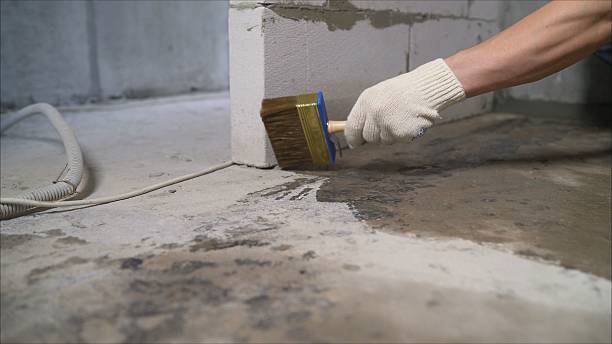 SJ Waterproofing Pros Waterproofing coverage map for Bancroft, WI and surrounding area